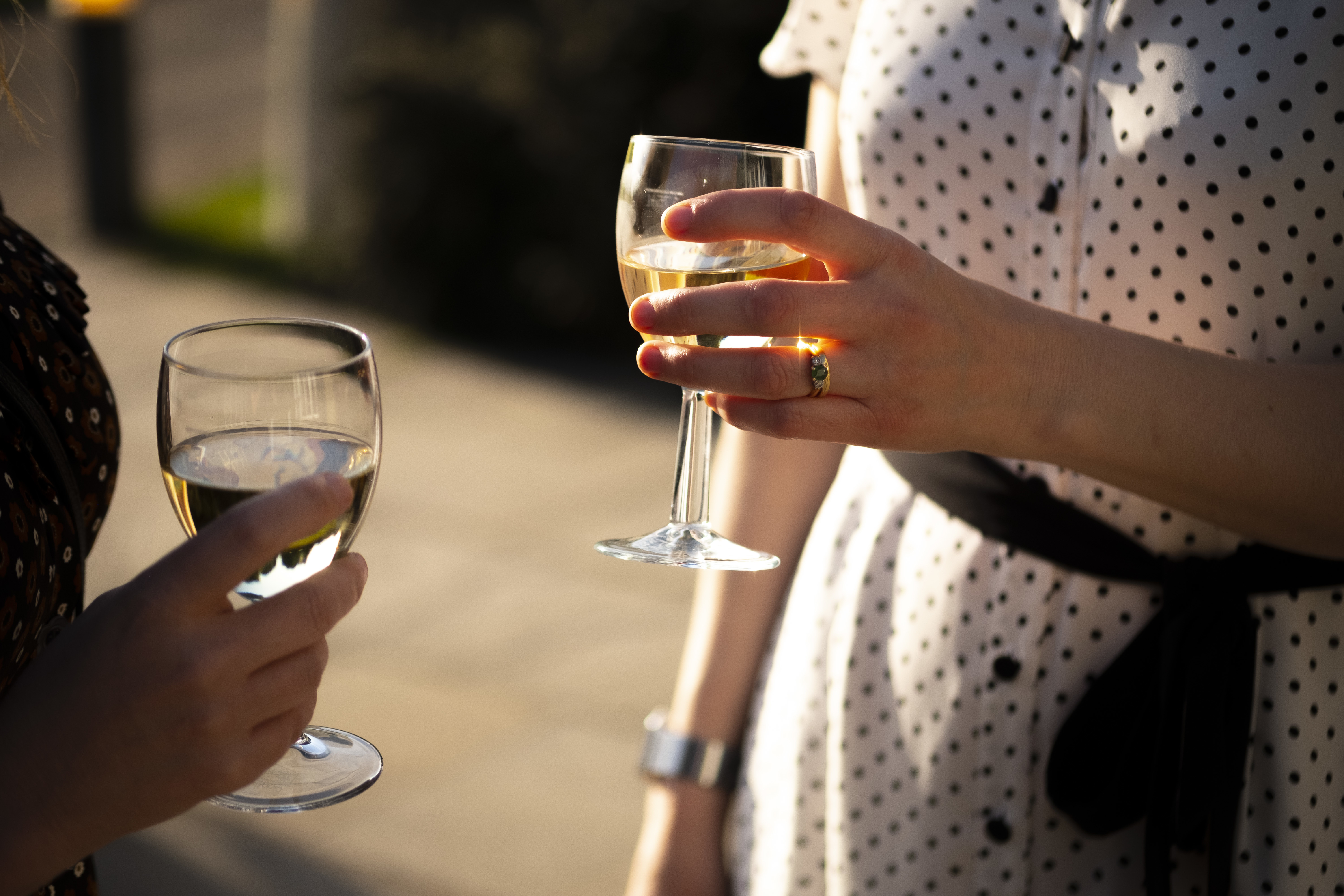 a close up of two women's hands holding glasses of white wine in sunshine