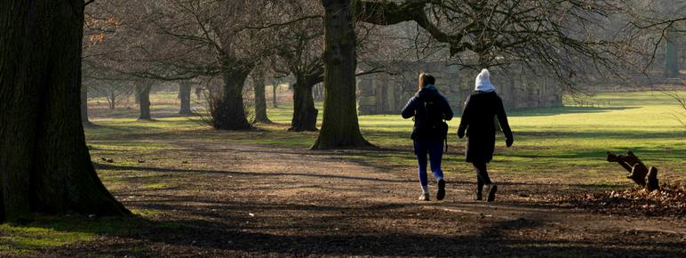 Two people wearing winter coats and hats walking along a path lined with trees.