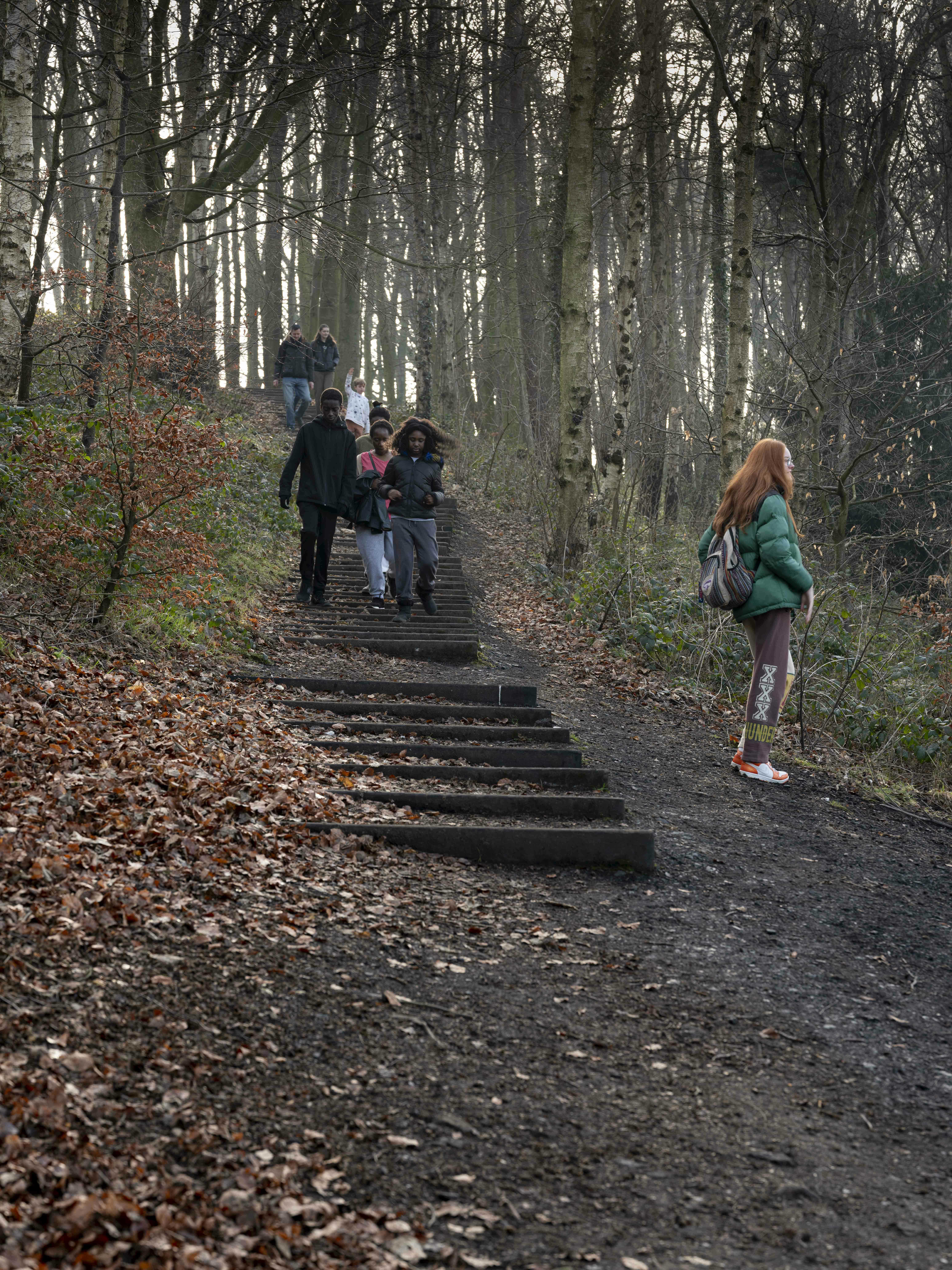 People walking on a series of wooden steps cut into a hillside. Trees are in the background.