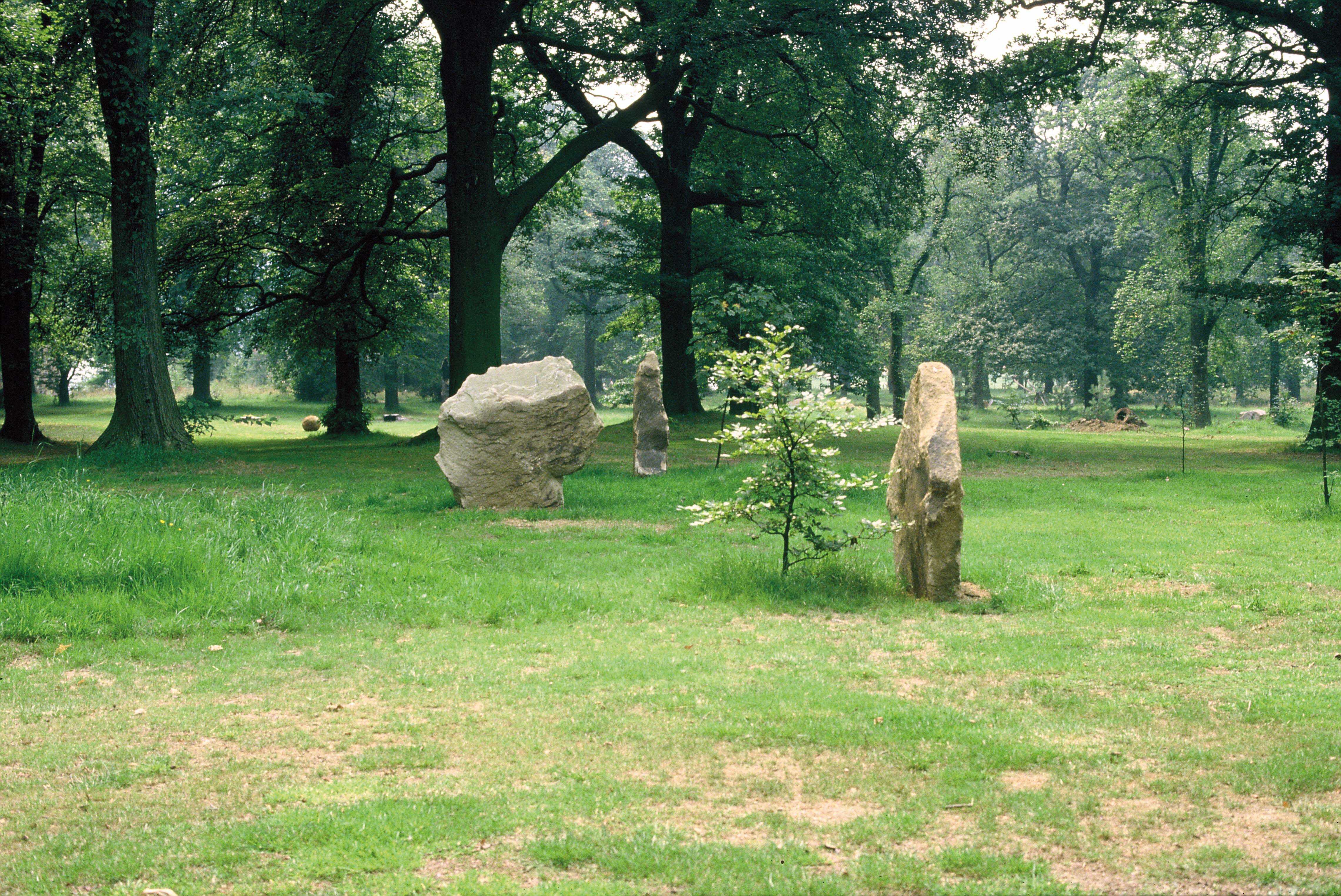 Three small trees growing next to three large stones
