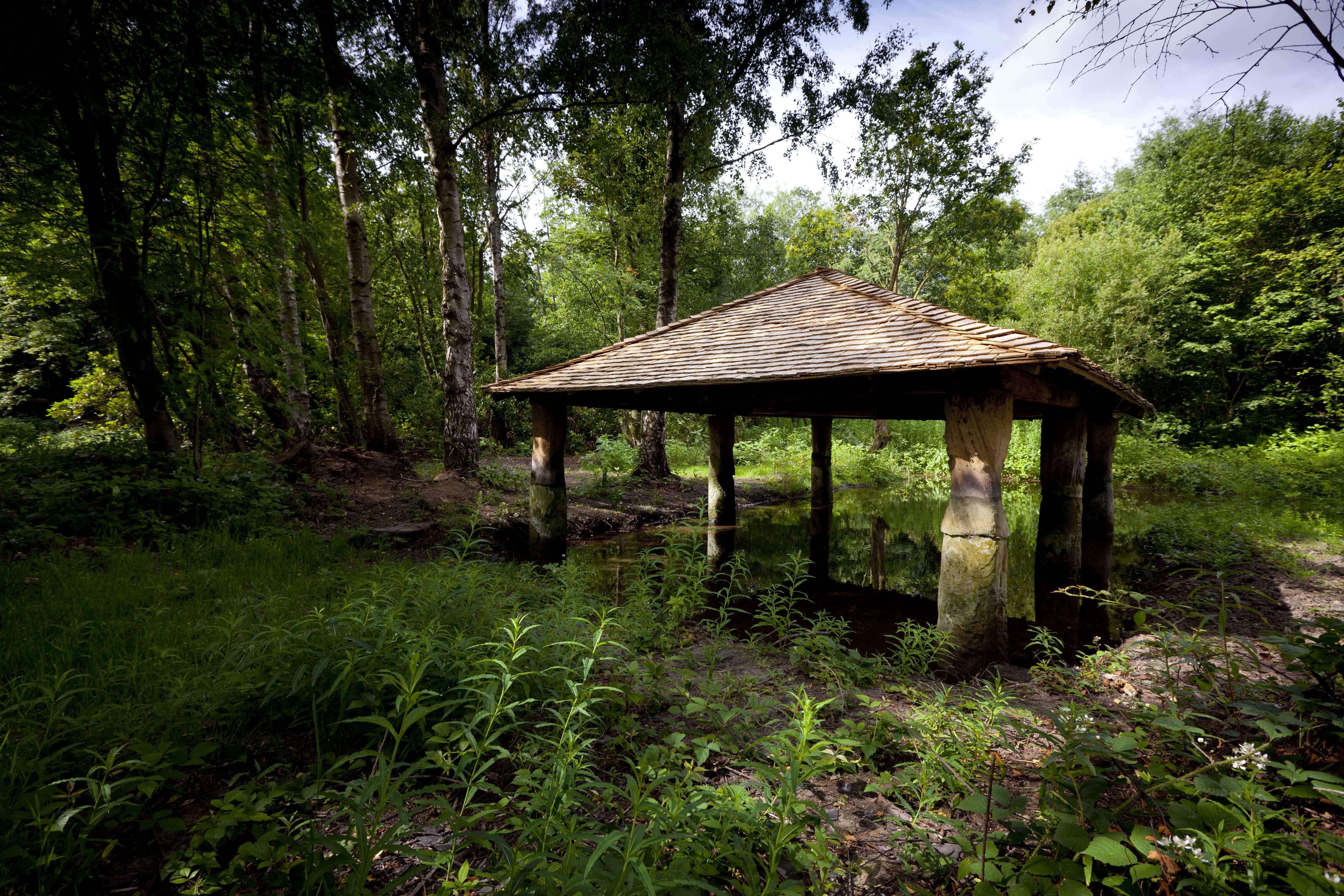 A tiled roof shelter over water in woodland.