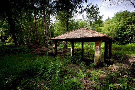 A tiled roof shelter over water in woodland.