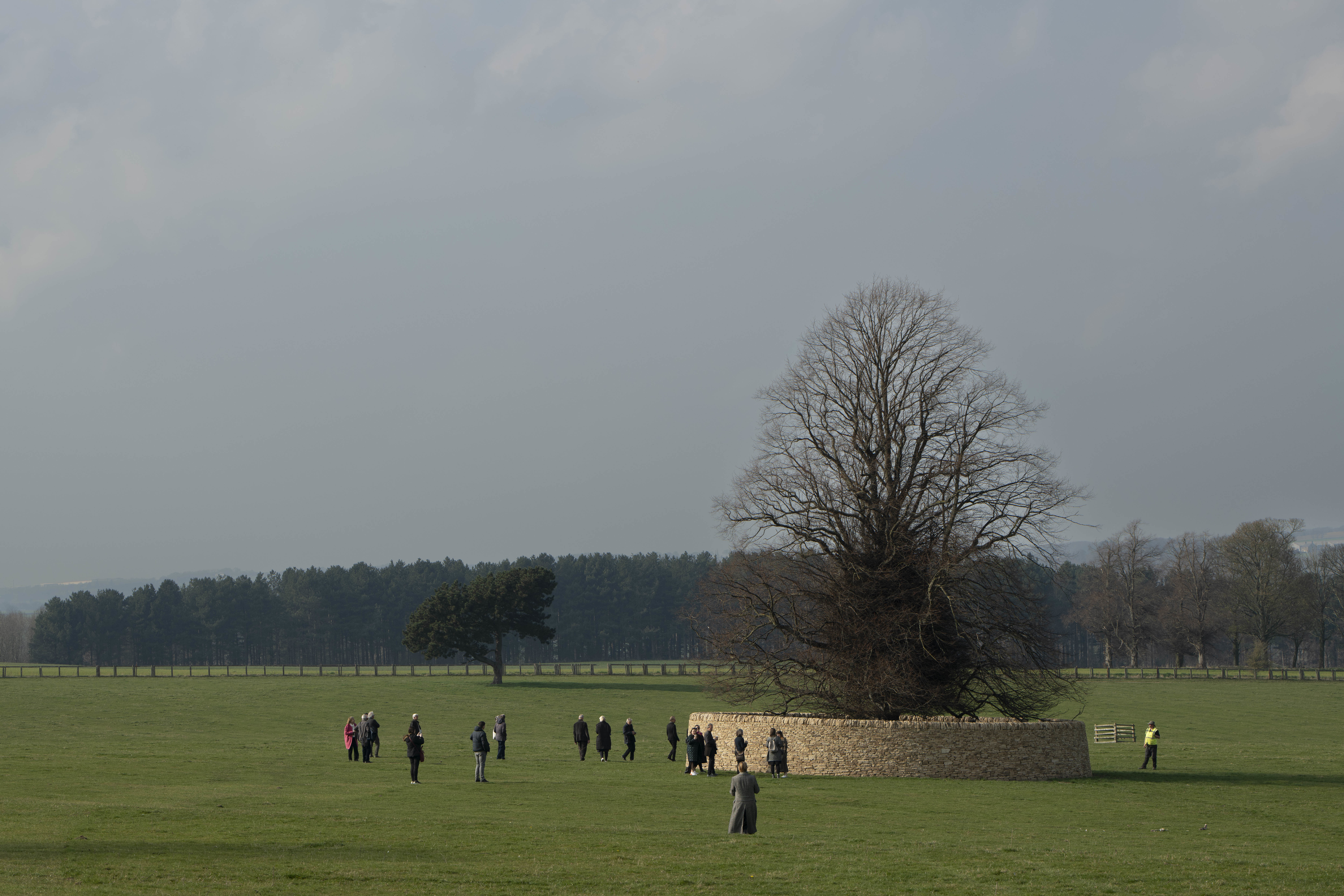 People standing in a field admiring Peter's Fold, a dry stone wall encircling a large tree.