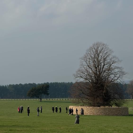 People standing in a field admiring Peter's Fold, a dry stone wall encircling a large tree.