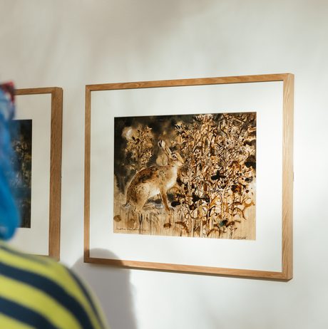 A framed ink drawing of a hare surrounded by foliage, displayed on a white wall with other similar drawings. A woman with blue hair is looking at the works.