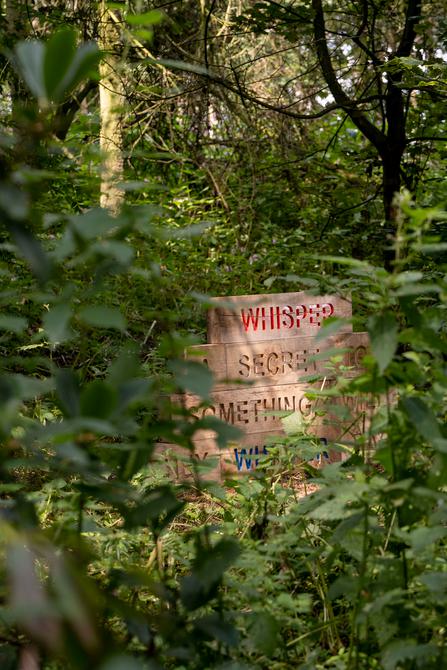 Idit Nathan and Helen Stratford Further Afield at Yorkshire Sculpture Park
