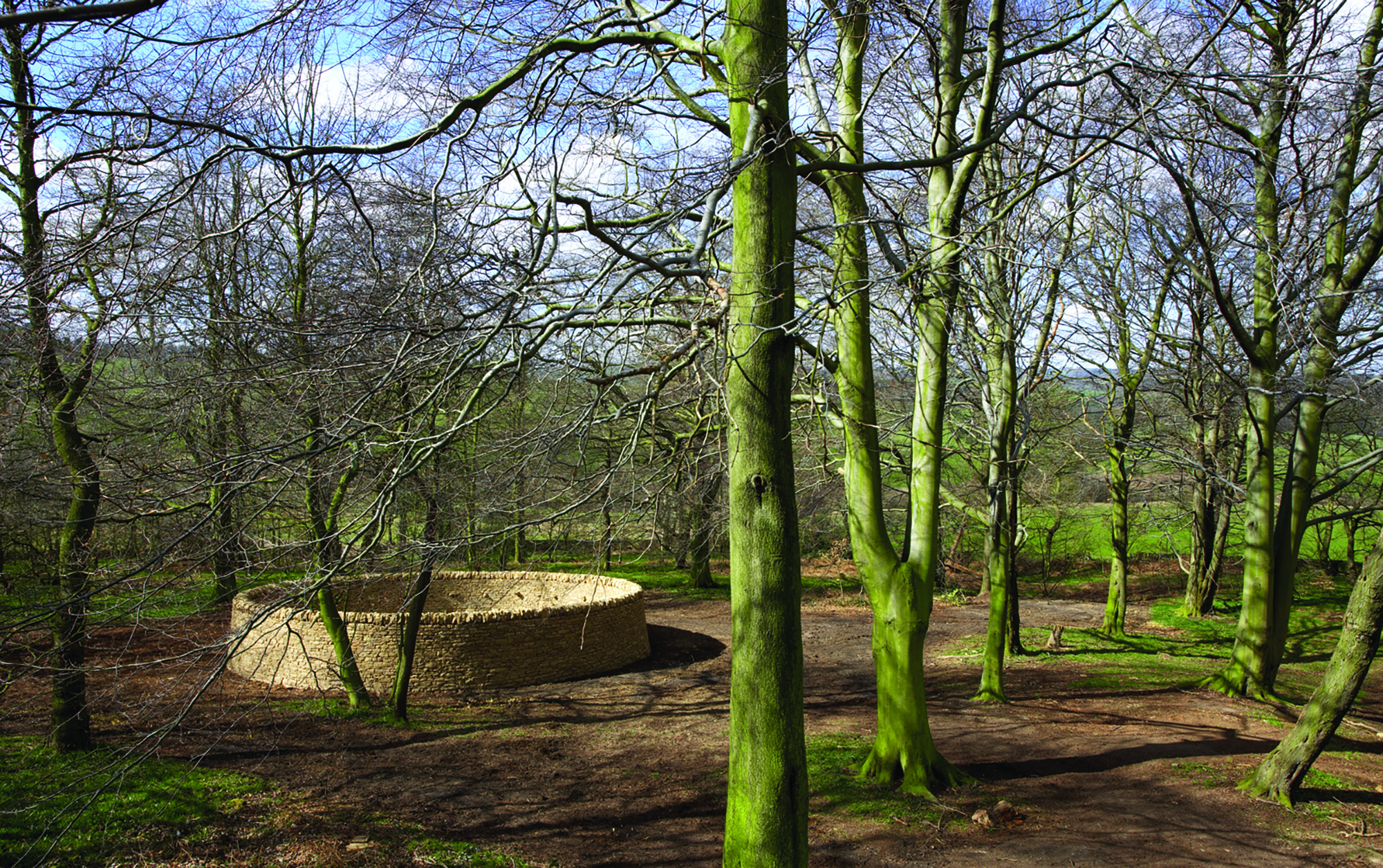 A circular dry stone wall in woodland.
