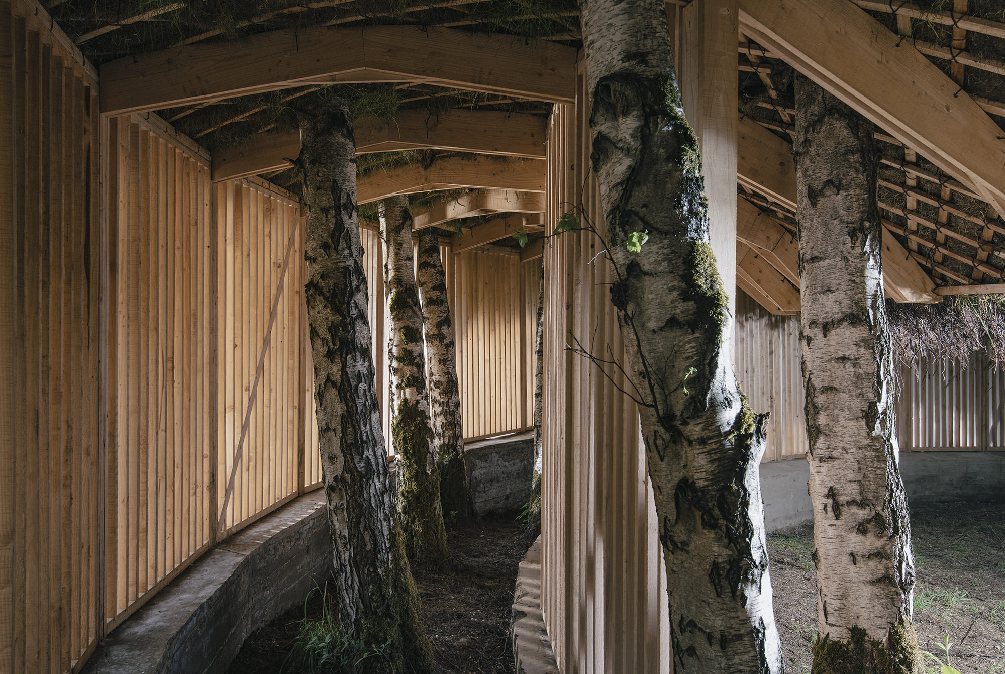 Inside view of Heather Peak and Ivan Morison – Silence Alone in a World of Wounds, 2021 at Yorkshire Sculpture Park