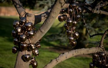 Anya Gallaccio, Blessed, at Yorkshire Sculpture Park