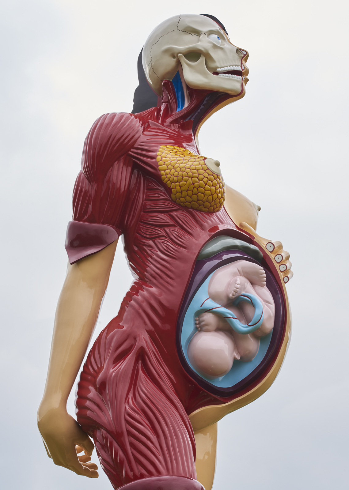 A large sculpture of a pregnant woman, with half her skin removed to reveal muscles and internal organs.