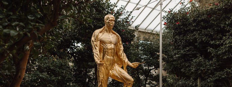 A gilded gold sculpture of a human figure with the skin removed revealing the musculature, displayed inside a glass house with large bushes. The figure is holding a knife and scissors and standing on a circular table.