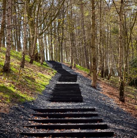 A series of wooden steps cut into a hillside. Trees are in the background.