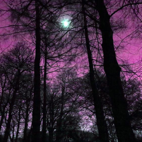 Dillan Marsh and Eleanor Clare Woods - The Poacher’s Lament and Other Half Heard Tales 2019 at Yorkshire Sculpture Park