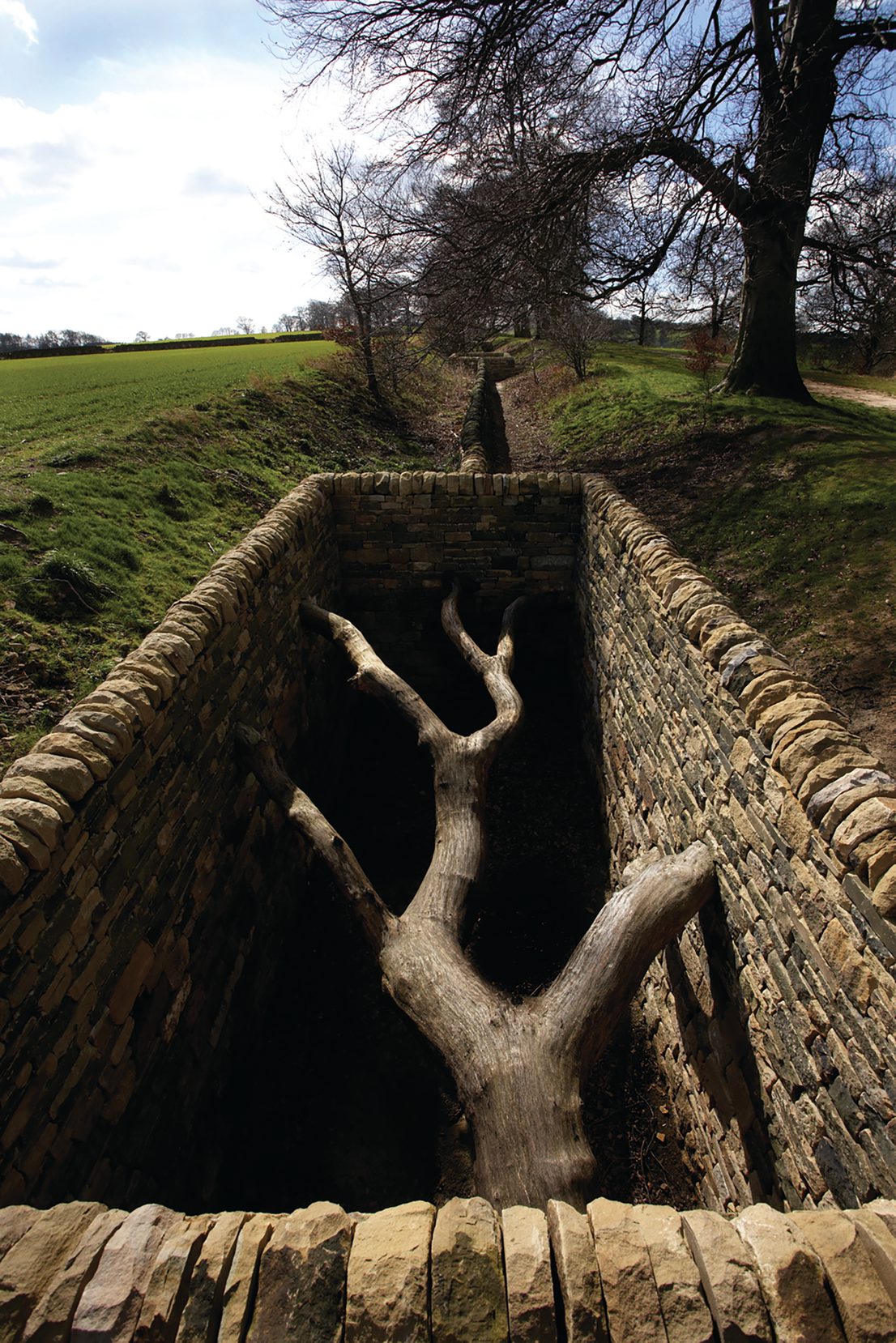 A dead tree, suspended between two dry stone walls.