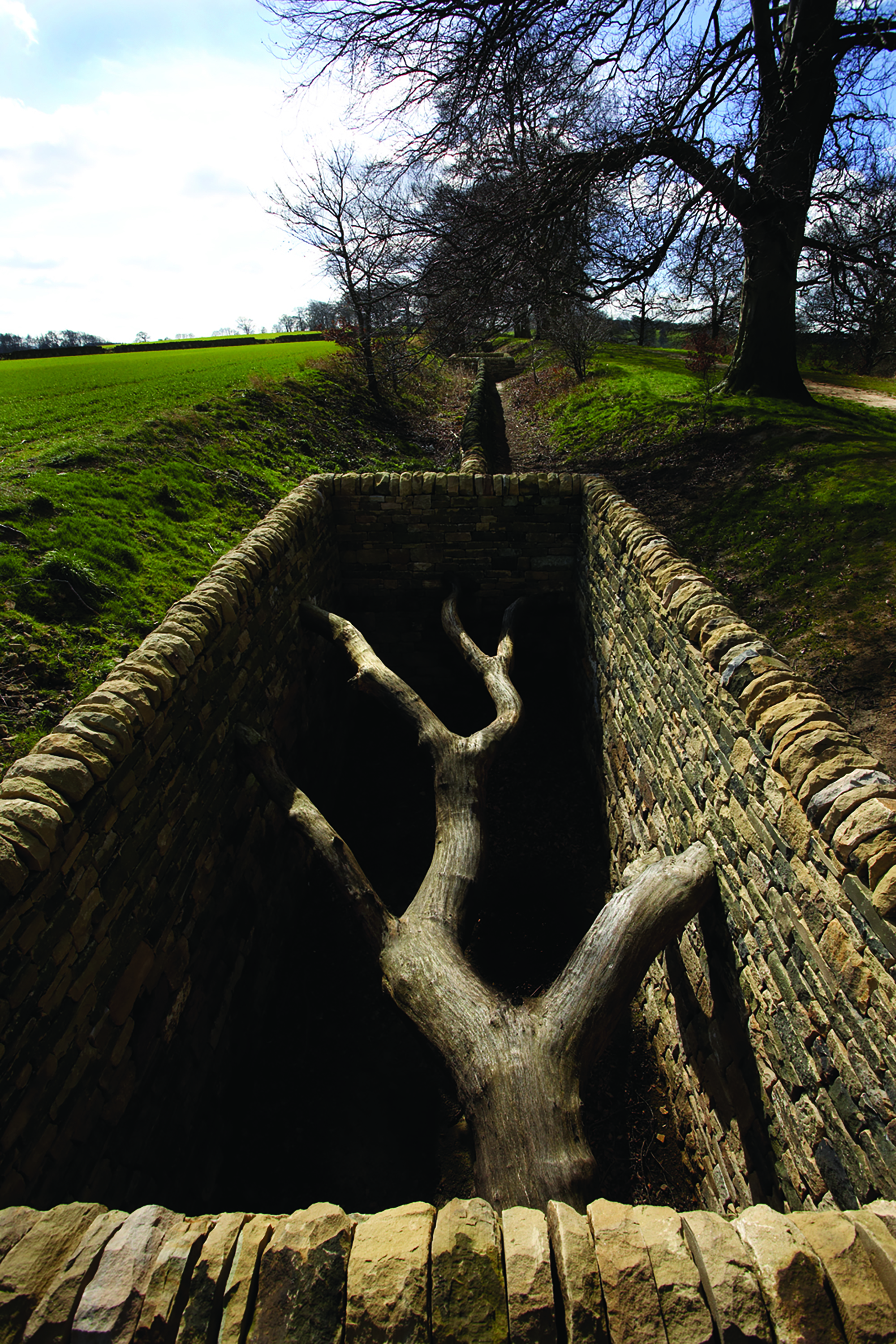 A dead tree, suspended between two dry stone walls.