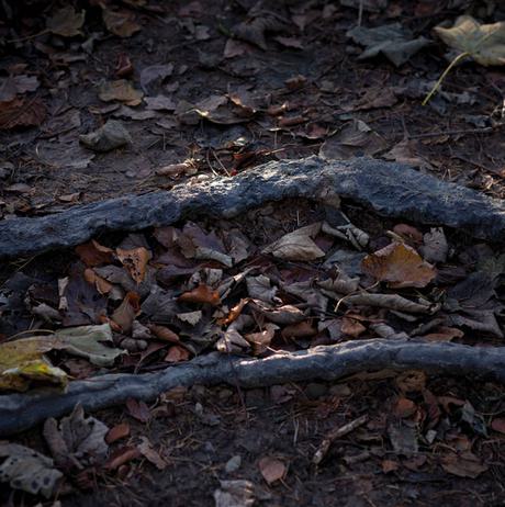 Hemali Bhuta Speed Breakers 2012 at Yorkshire Sculpture Park