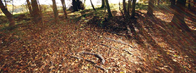 Hemali Bhuta Speed Breakers 2012 at Yorkshire Sculpture Park
