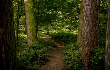 Jem Finer Longplayer Courtesy the Longplayer Trust at Yorkshire Sculpture Park