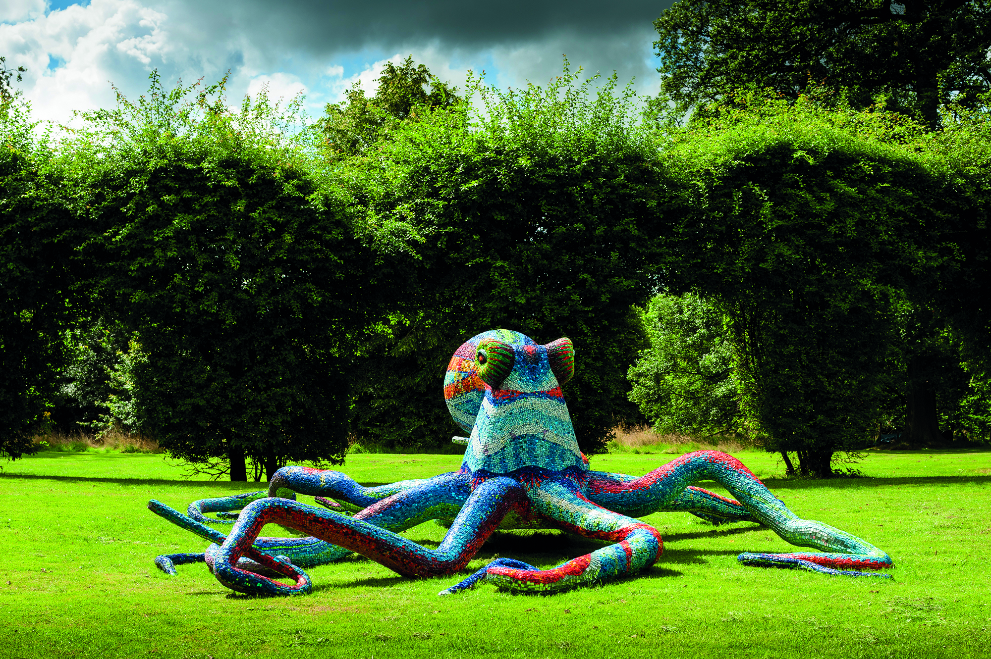 Marialuisa Tadei, Octopus 2011. Courtesy the artist and YSP at Yorkshire Sculpture Park