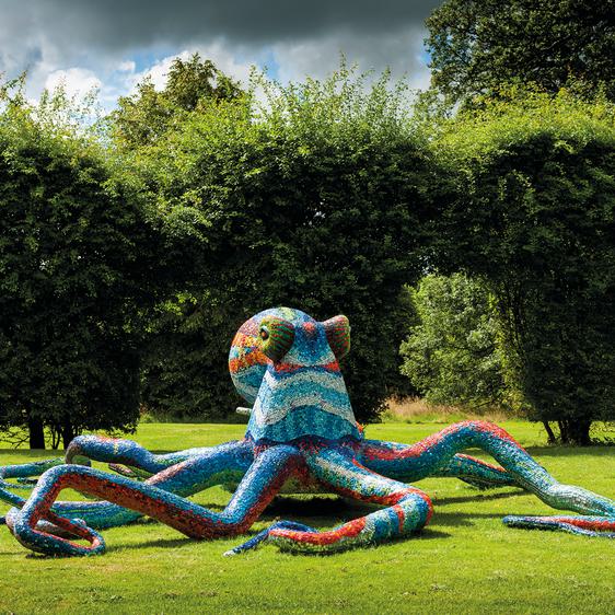 Marialuisa Tadei, Octopus 2011. Courtesy the artist and YSP at Yorkshire Sculpture Park