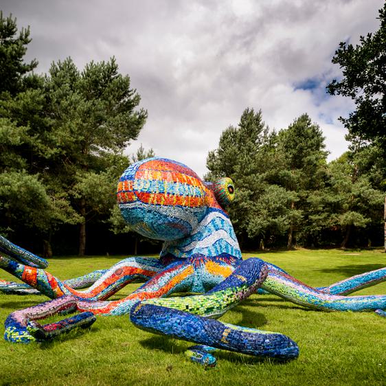 Marialuisa Tadei, Octopus 2011. Courtesy the artist and YSP at Yorkshire Sculpture Park