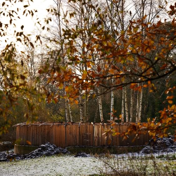 A roofless wooden pavilion surrounded by trees.