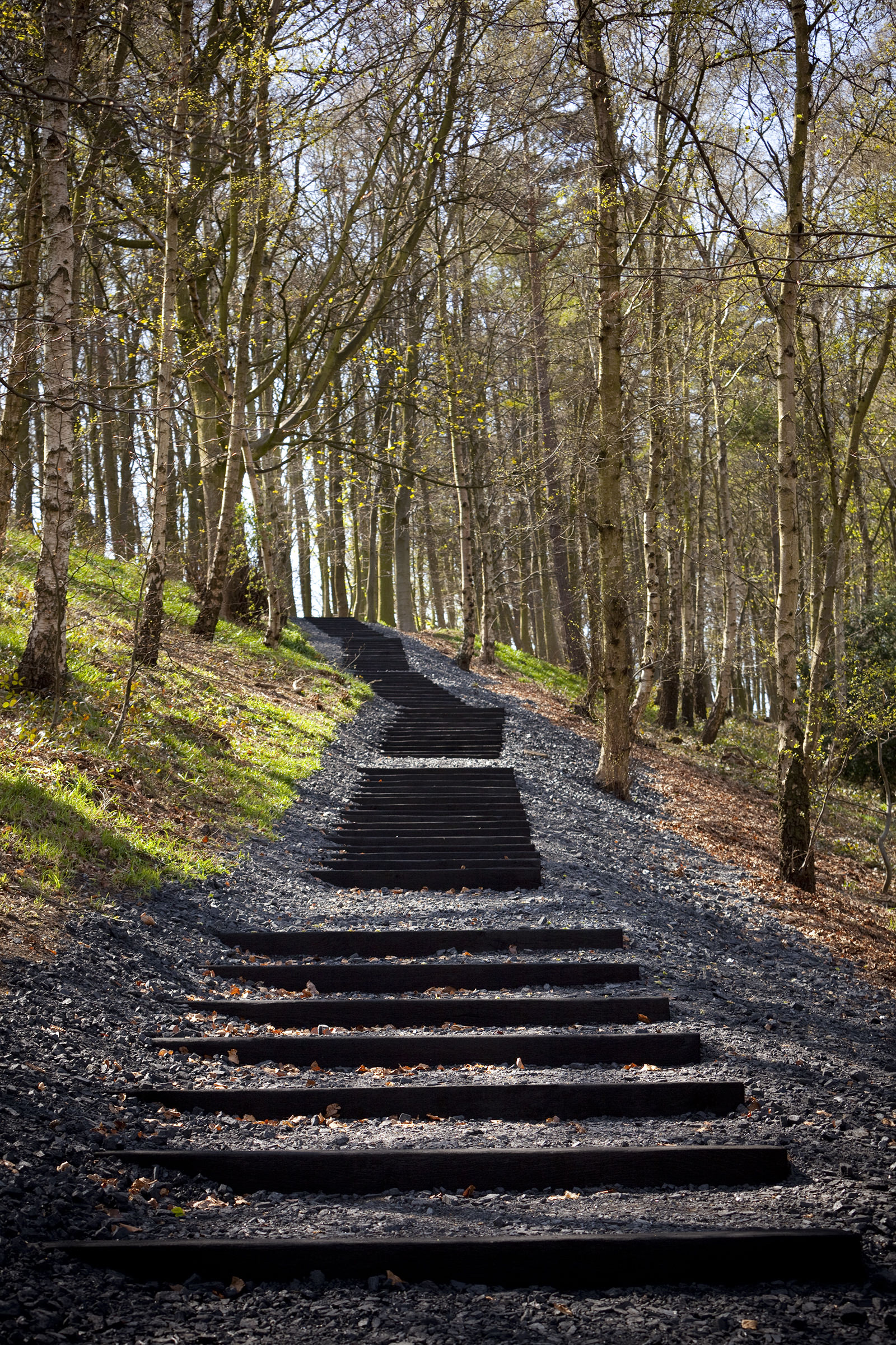 A series of wooden steps cut into a hillside. Trees are in the background.