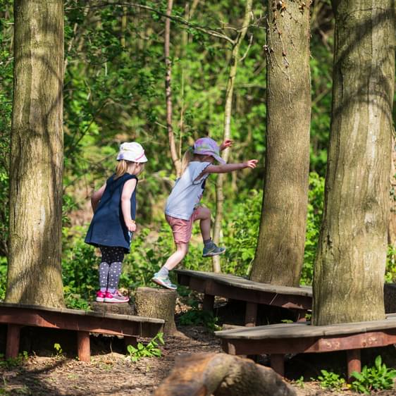 Two children play in a wooded area, balancing on wooden planks placed between trees. One child is mid-jump, while the other watches. Lush greenery surrounds them, creating a vibrant scene.