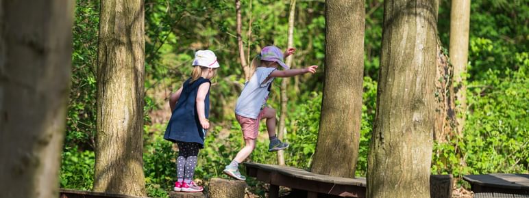 Two children play in a wooded area, balancing on wooden planks placed between trees. One child is mid-jump, while the other watches. Lush greenery surrounds them, creating a vibrant scene.