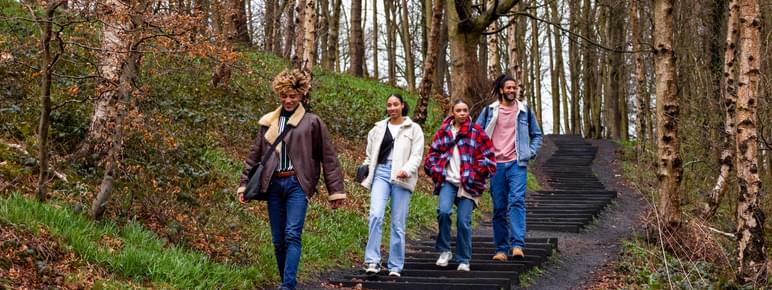 A group of people walking through woodland down David Nash's Seventy One Steps.