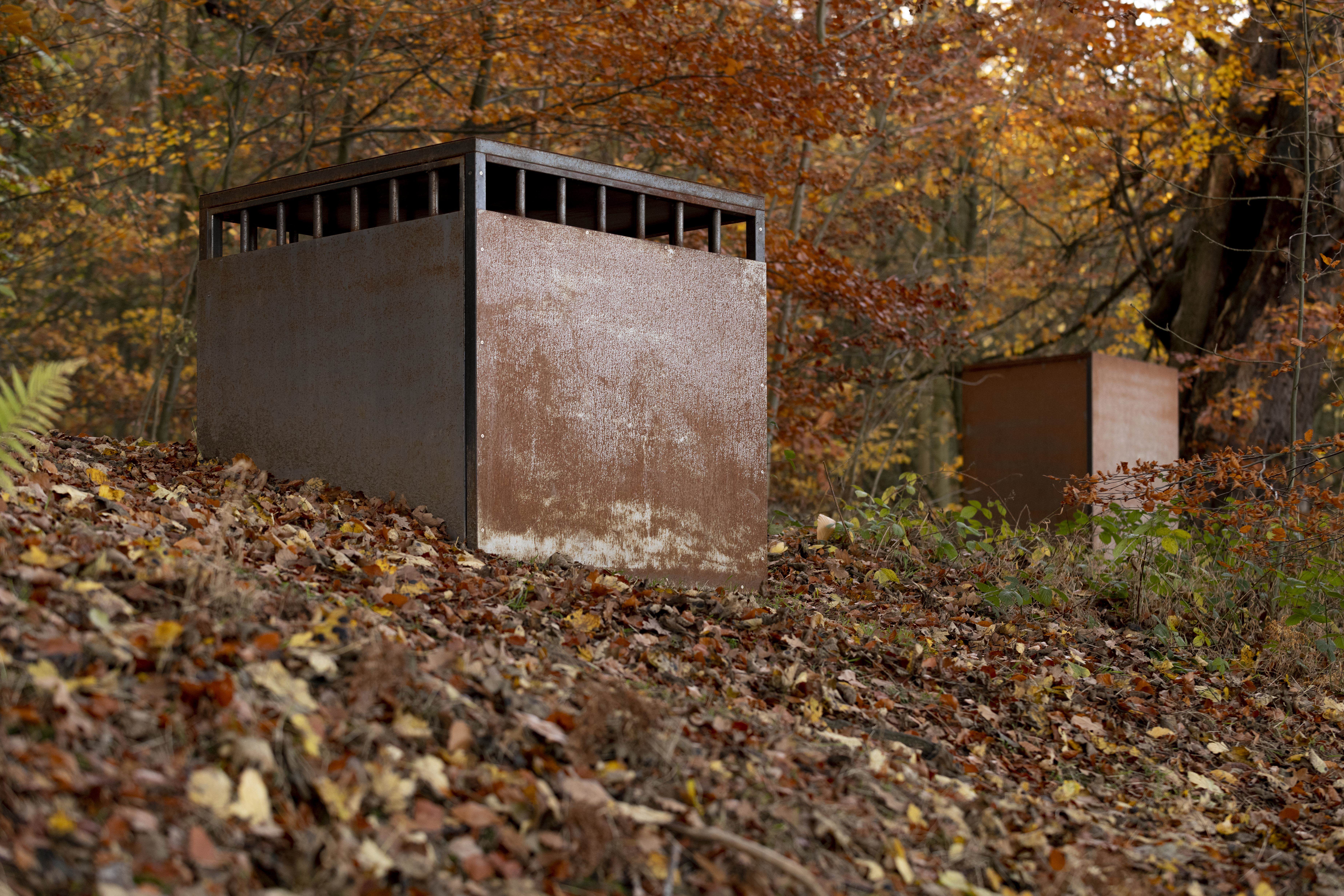 Two rusting steel cell sculptures surrounded by autumnal leaves.