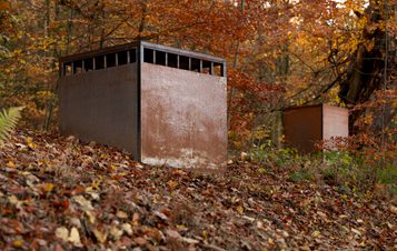 Two rusting steel cell sculptures surrounded by autumnal leaves.