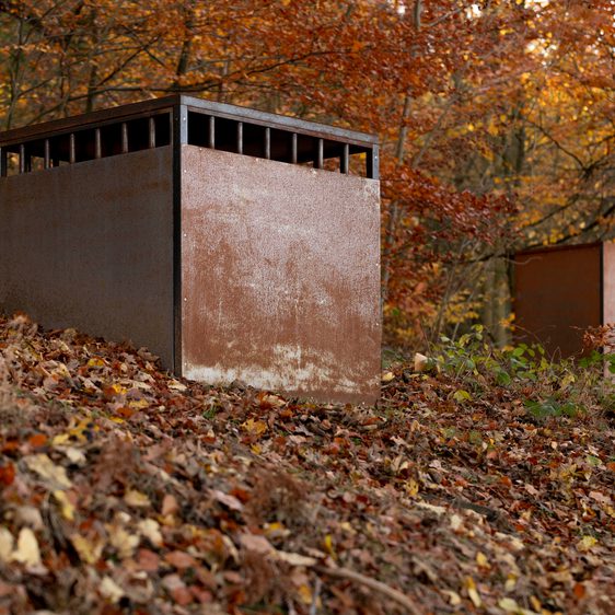 Two rusting steel cell sculptures surrounded by autumnal leaves.