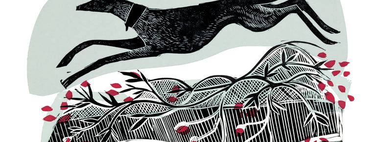 Angela Harding Winter Whippet