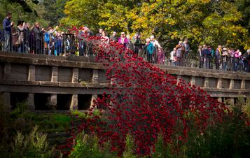 A cascade of red poppies flowing over a bridge into a lake.