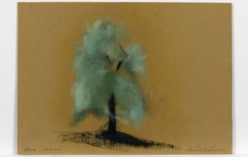 Pastel drawing of a green tree on paper.
