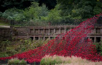 A cascade of red poppies flowing over a bridge into a lake.