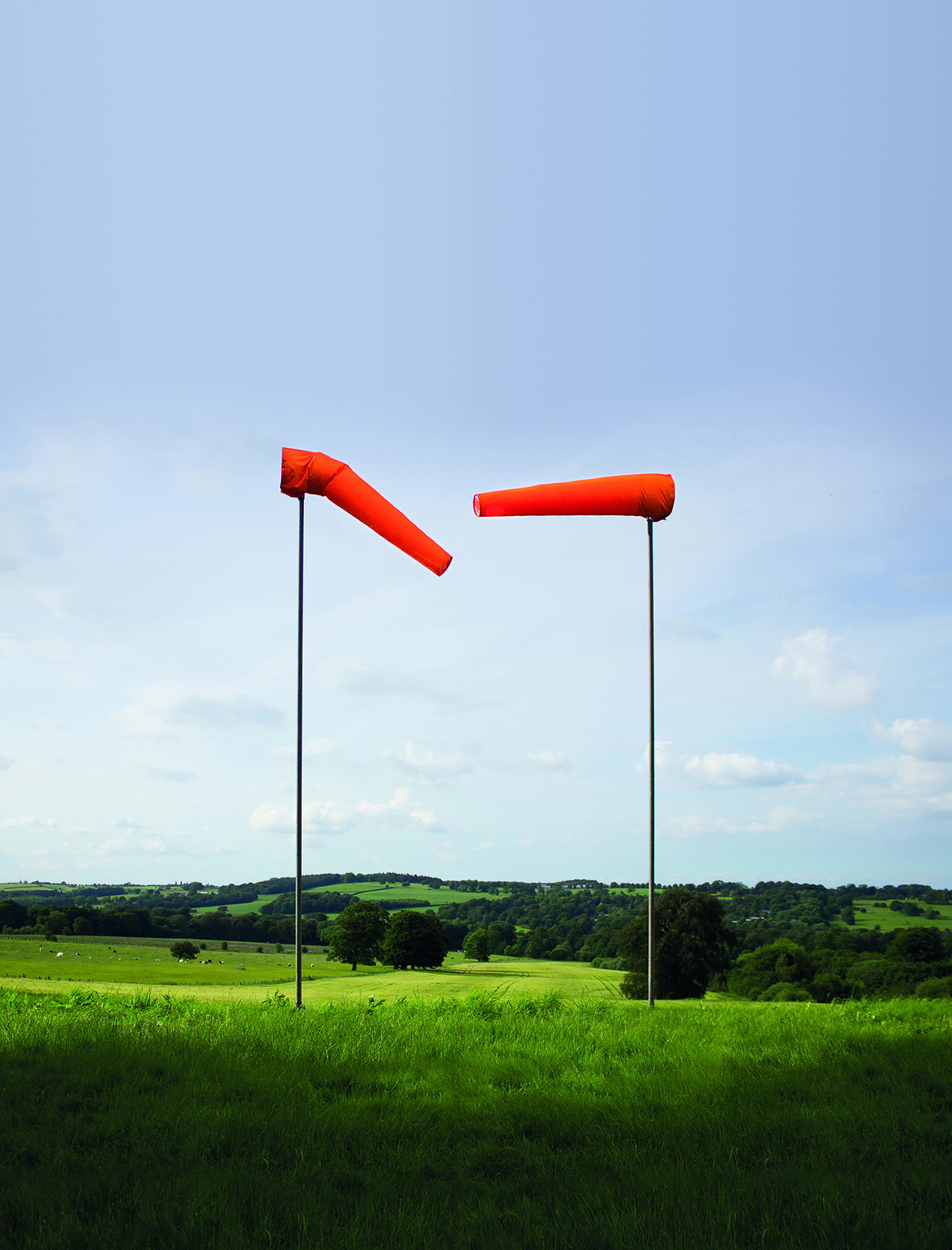 Two wind socks blowing towards each other standing on green grass with a blue sky in the background.