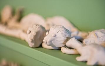 A shelf of wax animal models