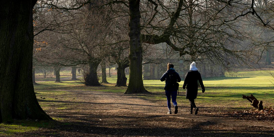 Two people walking outdoors at YSP. Trees and sculptures can be seen in the distance.