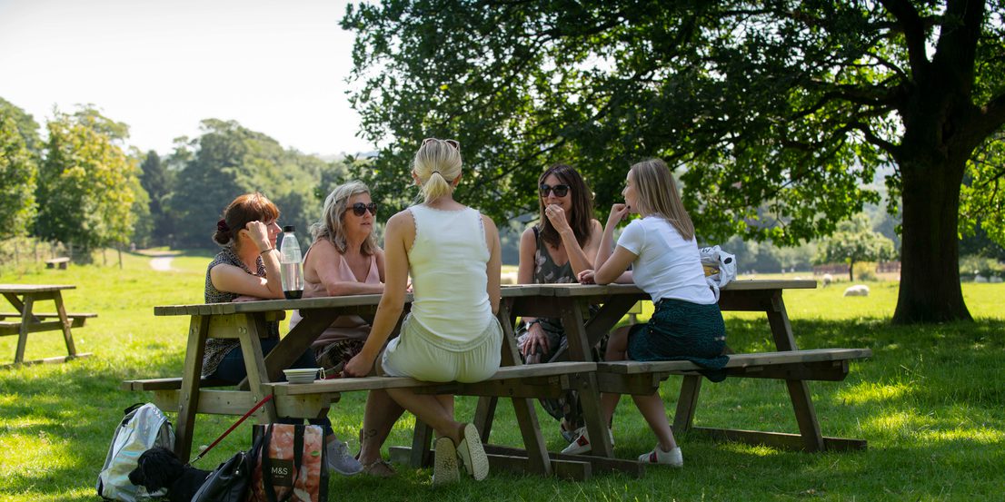 A group of white women sitting at a picnic bench on the YSP grounds