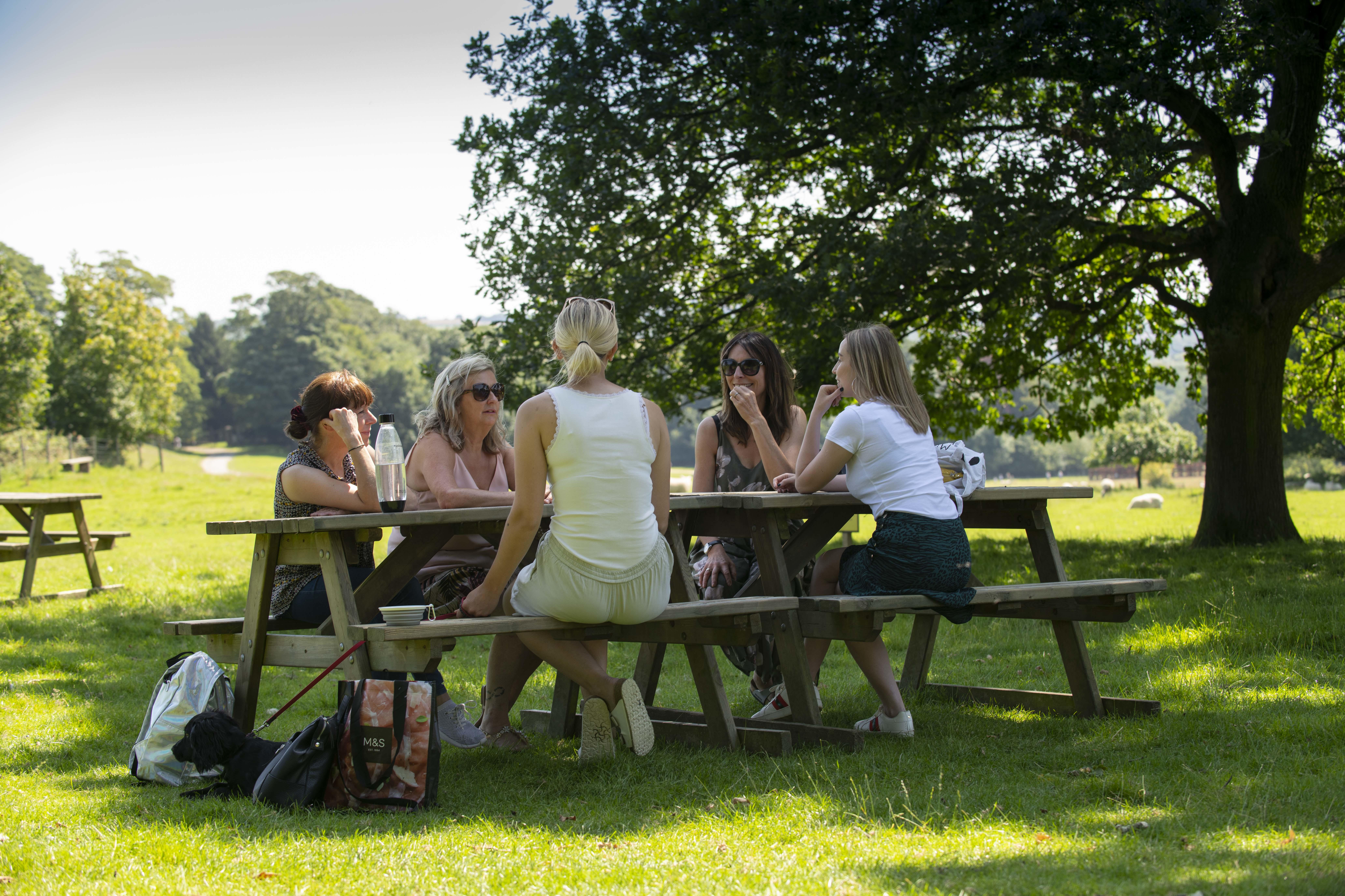 A group of white women sitting at a picnic bench on the YSP grounds