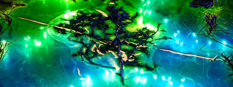 Detail of a bio artwork with pieces of leaf matter embedded in blue and green resin.
