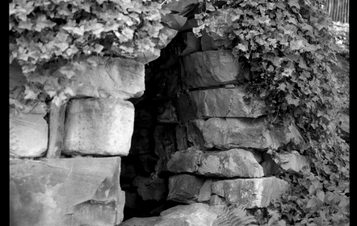 A black and white image of a stone structure covered in trailing ivy