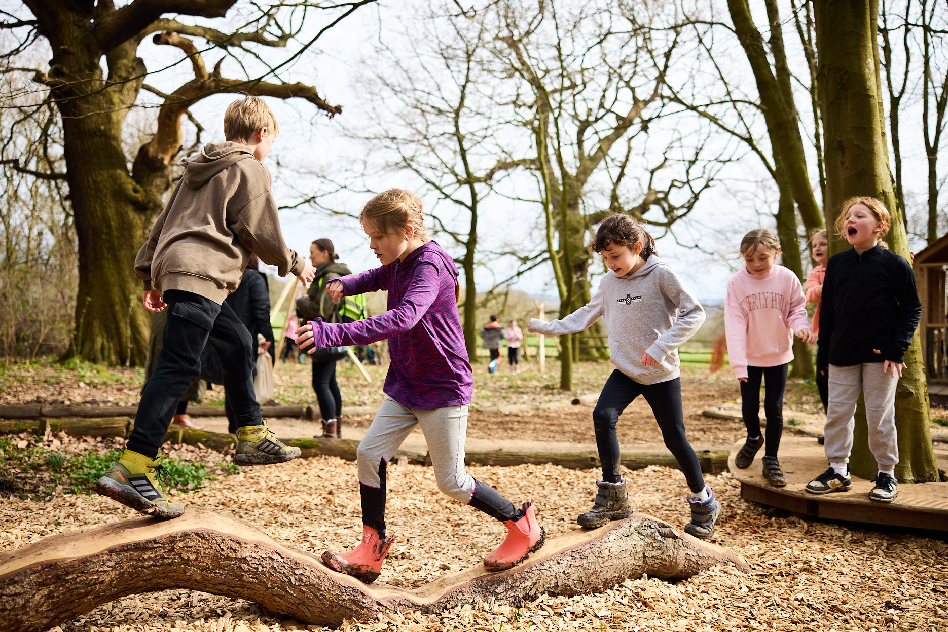 A group of children playing on natural stepping stones and branches.