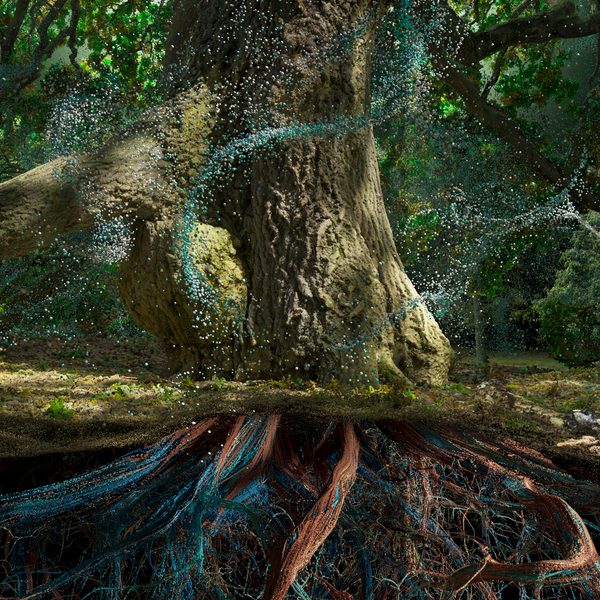 A majestic tree stands in a lush forest, its thick trunk and sprawling roots visible. Delicate particles of light shimmer around the tree, creating a magical atmosphere. The vibrant greenery and intricate root system highlight the beauty of nature.