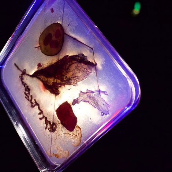 Sculpture with items on a silver tray