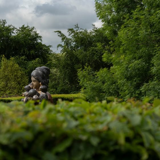 The head of a large golu doll figure emerging above a hedgerow.