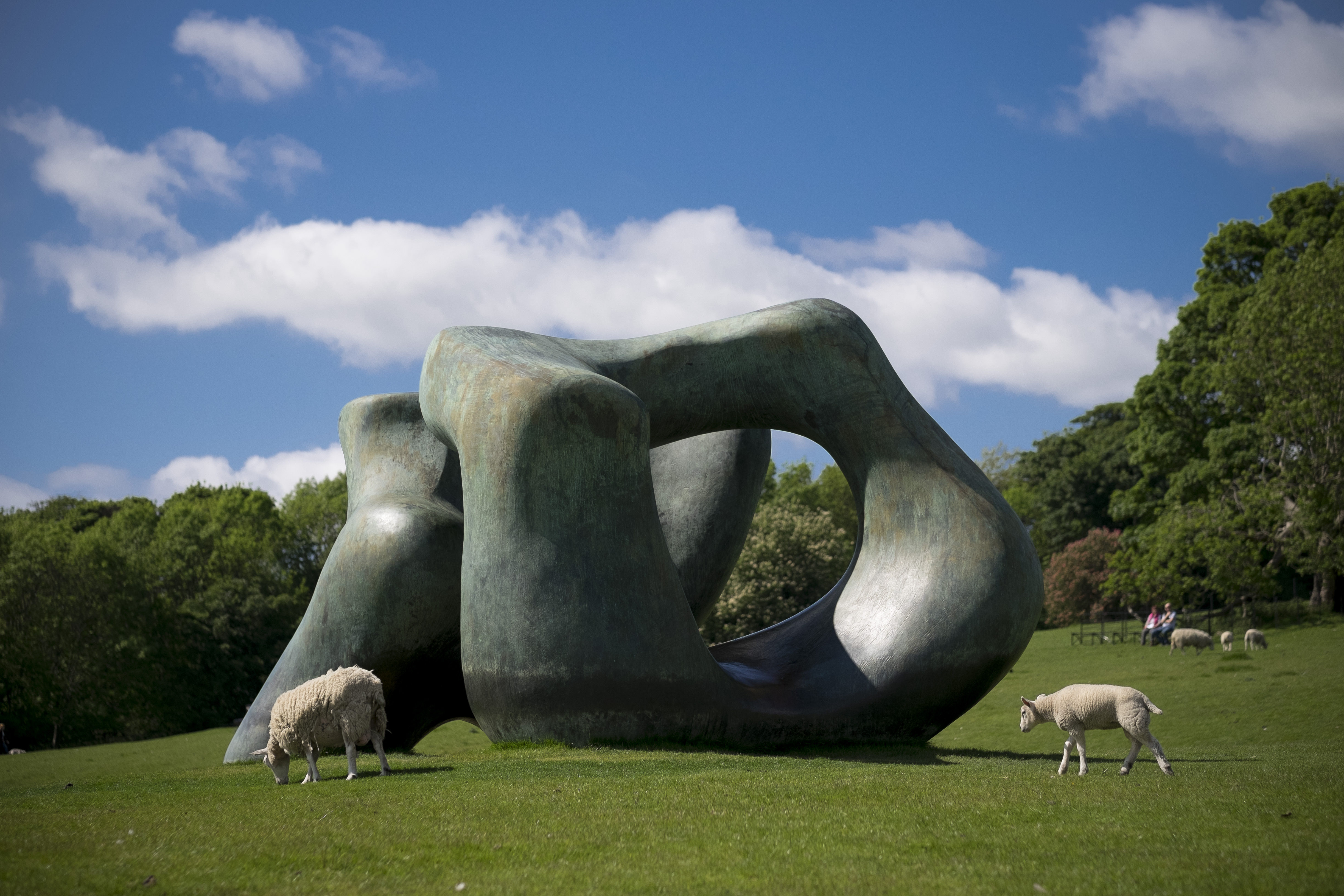 Two interlinked bronze sculptures displayed outdoor, with sheep grazing around the work.