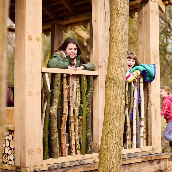 Children playing in woodland